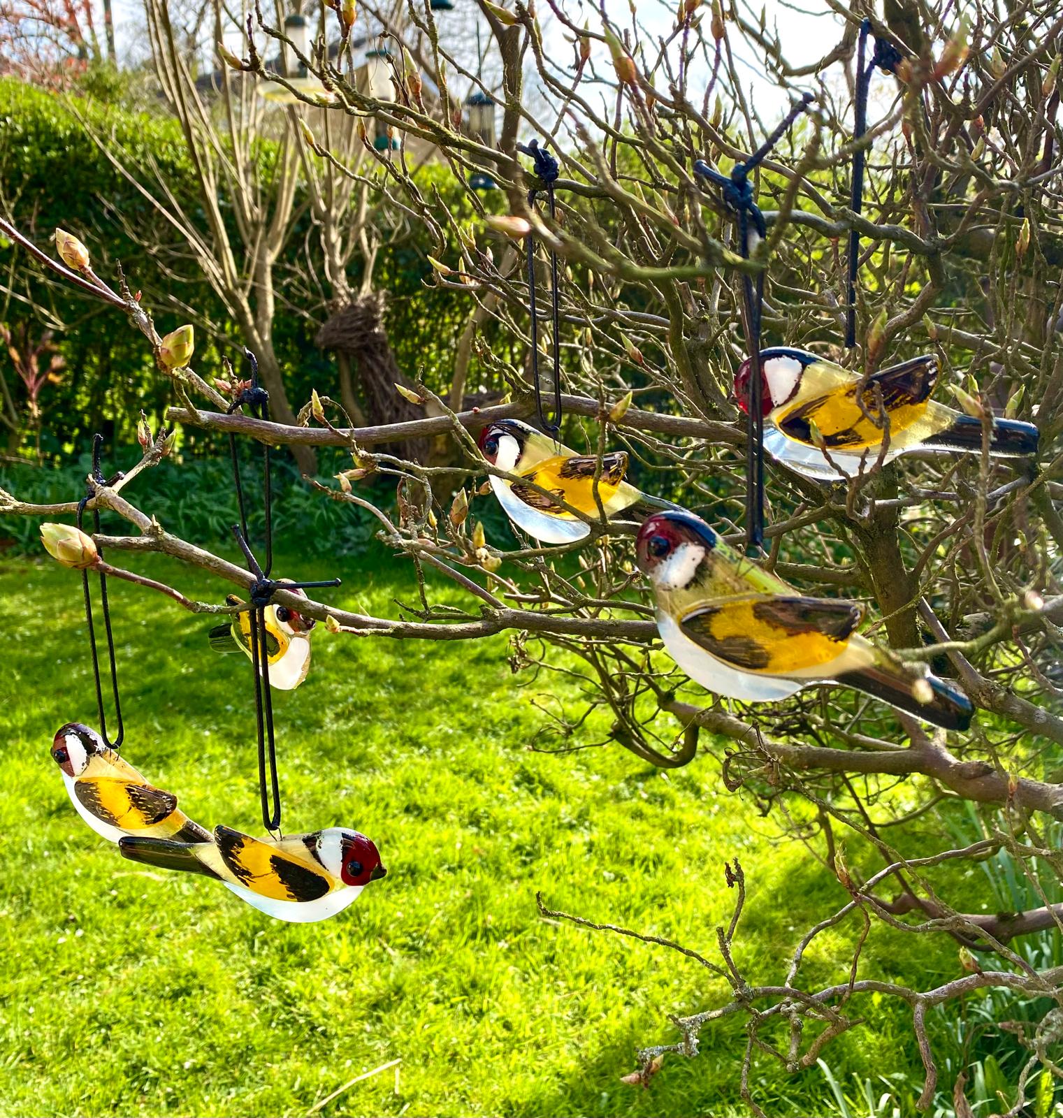 goldfinches